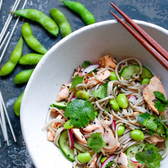 Salmon & Sesame Soba Noodles - Recipe photo by shift nutrition