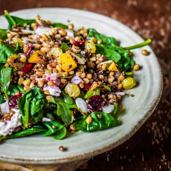 Balsamic Lentil And Quinoa Salad - Recipe photo by VeganKitchn