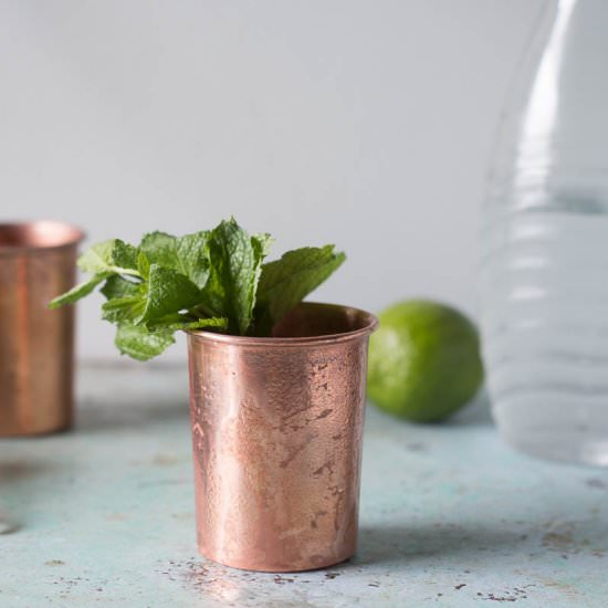Mezcal Mule - Recipe photo by blossomtostem
