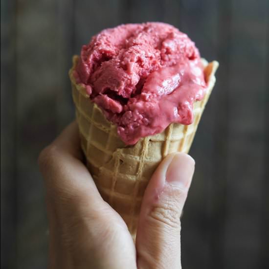 Lemon Raspberry Frozen Yogurt - Recipe photo by joyfulhealthyeats