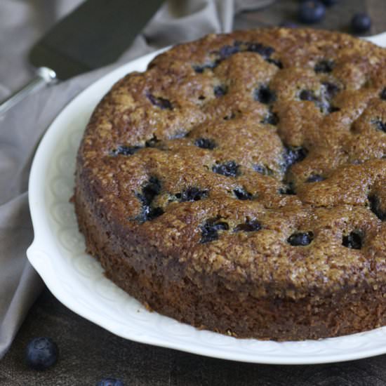 Blueberry Gingerbread - Recipe photo by turniptheoven