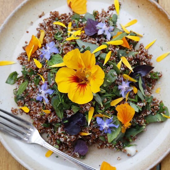 bloom salad - Recipe photo by blanblan