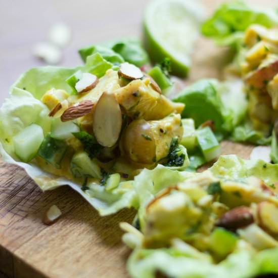 Curried Turkey Salad Lettuce Cups - Recipe photo by the_gourmet_RD