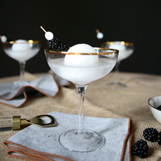 Full Moon Martini - Recipe photo by jojotastic