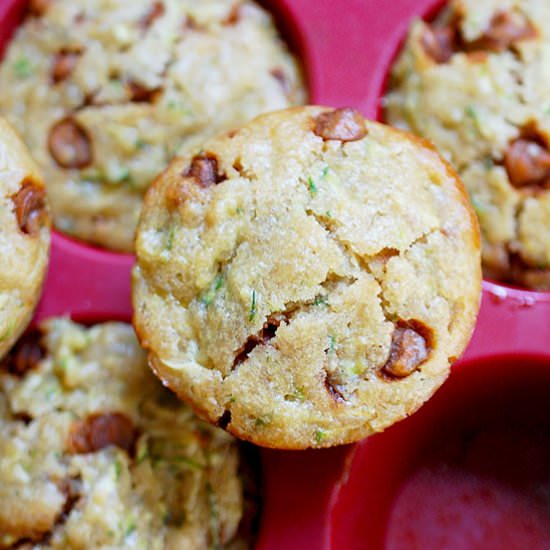 Eggless Cinnamon Zucchini Muffins - Recipe photo by evabakes