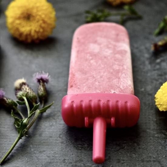 Raspberry Coconut Popsicles - Recipe photo by Pure and Simple Nourishment