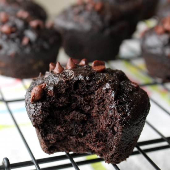 Double Chocolate Zucchini Muffins - Recipe photo by auntiebethany
