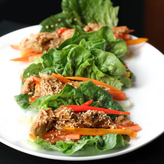 Thai Chicken Lettuce Wraps - Recipe photo by TheKitchenWhisperer