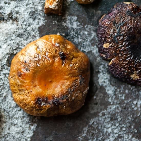Wild mushrooms with salt - Recipe photo by gabilupu