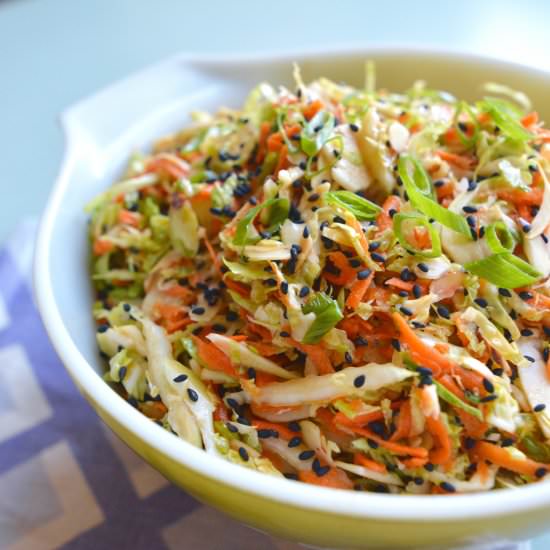 Asian Brussels Sprouts Slaw - Recipe photo by The Kitchen Flamingo