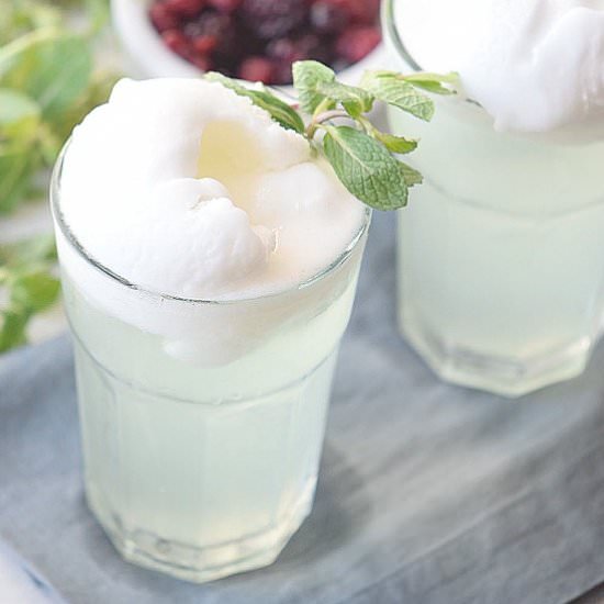 Refreshing Mint Float Recipe - Recipe photo by MrsWrightWrites