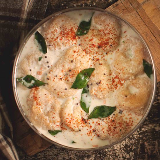 Dahi Vada - Recipe photo by MyCookingCanvas