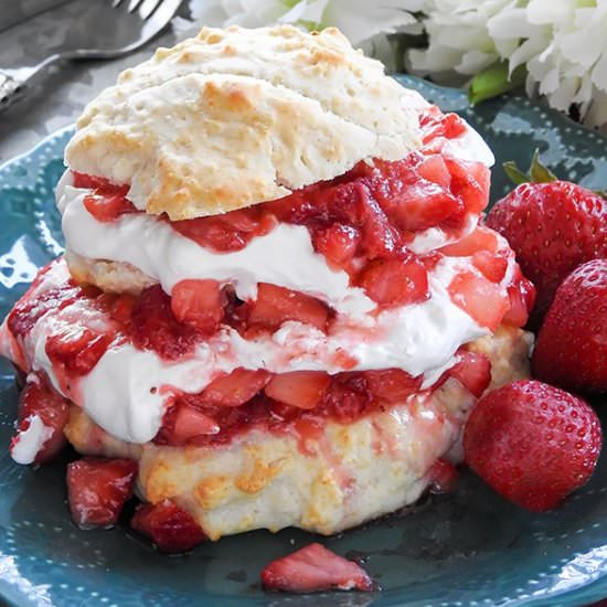 Homemade Strawberry Shortcake - Recipe photo by sewlicious
