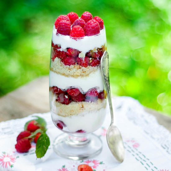 Parfait with Raspberries - Recipe photo by lesyasha