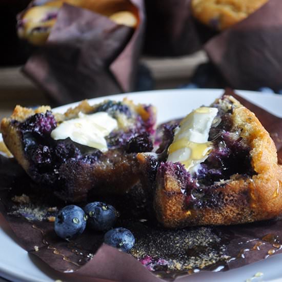 Blueberry Corn Muffins - Recipe photo by BatterandDough