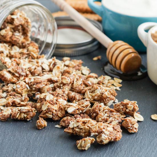 Cookie Butter Granola - Recipe photo by TaraMar