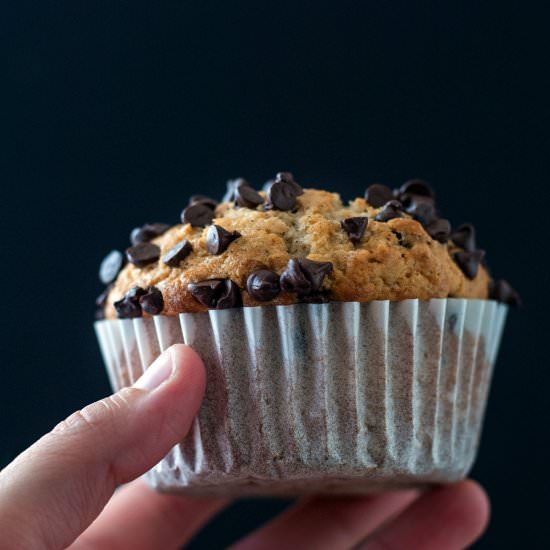 Bakery Style Chocolate Chip Muffins - Recipe photo by cookiesforengland