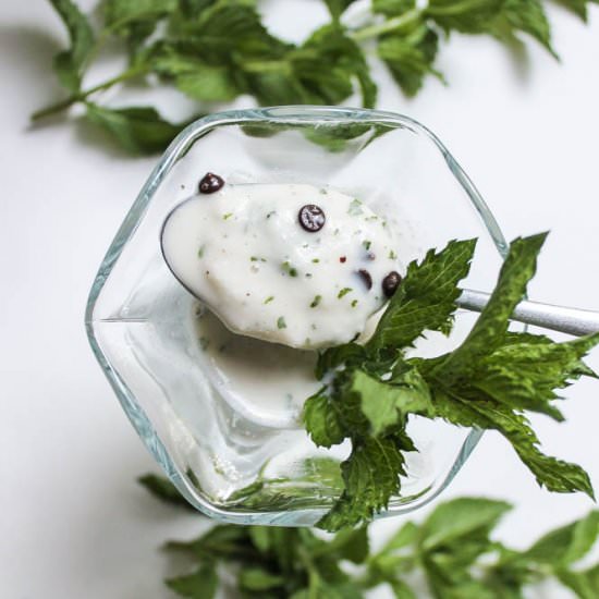 Mint Chocolate Chip Shake - Recipe photo by strawberry17
