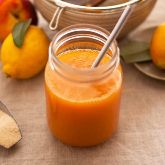 Homemade Apricot Nectar - Recipe photo by AnnaBanana