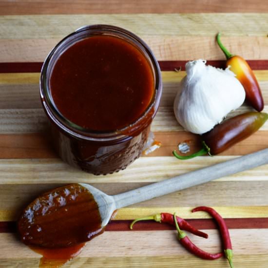 Apricot Honey Barbecue Sauce - Recipe photo by DeliciousbyDesign