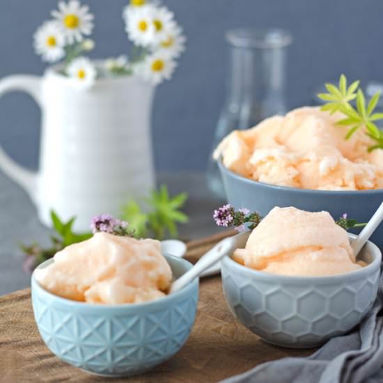 Granita Siciliana with Melon - Recipe photo by einepriselecker