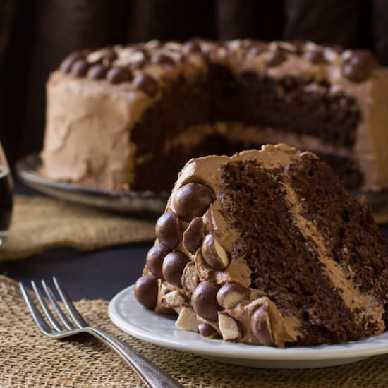 Malted Chocolate Stout Cake - Recipe photo by dizzybusyandhungry