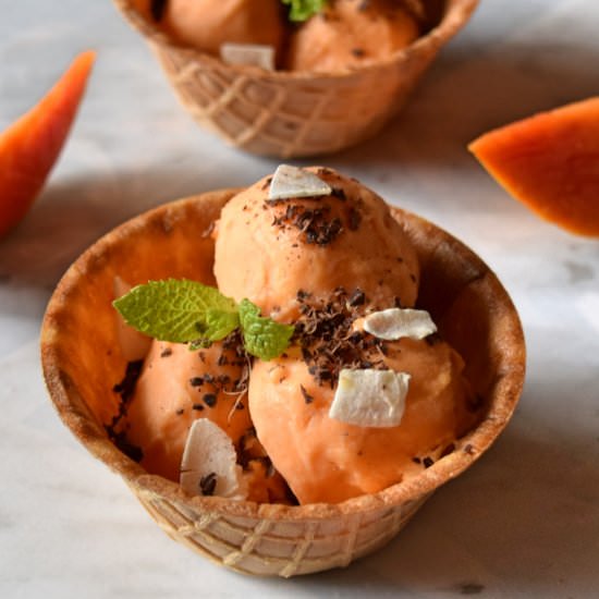 No Churn Papaya Coconut Ice Cream - Recipe photo by naturalfitdiet