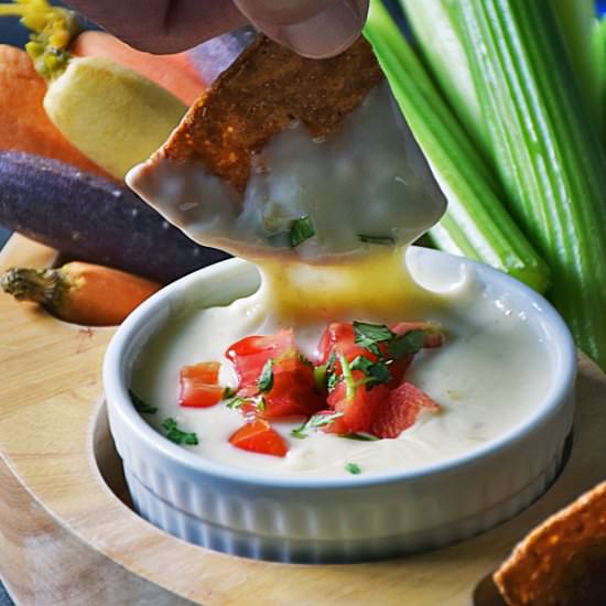 Queso Blanco Dip (White Cheese Dip) - Recipe photo by LifeTastesGood
