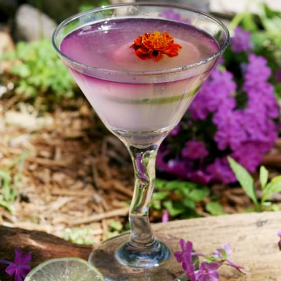 A Mauve Sky- Gin Cocktail - Recipe photo by aaron_FancyAsF
