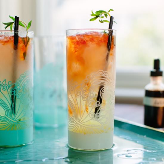 Tequila and Tarragon Swizzle - Recipe photo by athoughtforfood