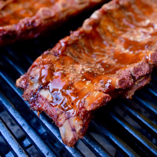 The Most Tender Baby Back Ribs Ever - Recipe photo by The Kitchen Flamingo