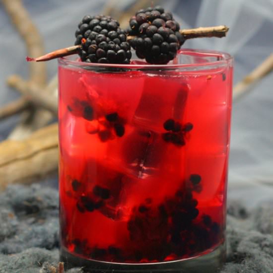 Blackberry Ouzo Cocktail - Recipe photo by aaron_FancyAsF