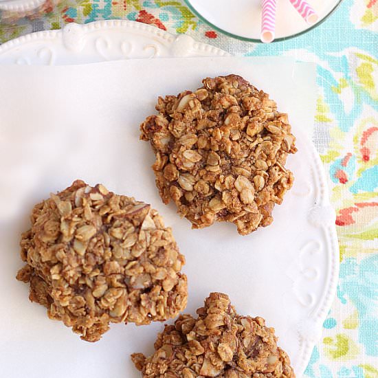 PBfit Peanut Butter Oatmeal Cookies - Recipe photo by Delightful Mom Food