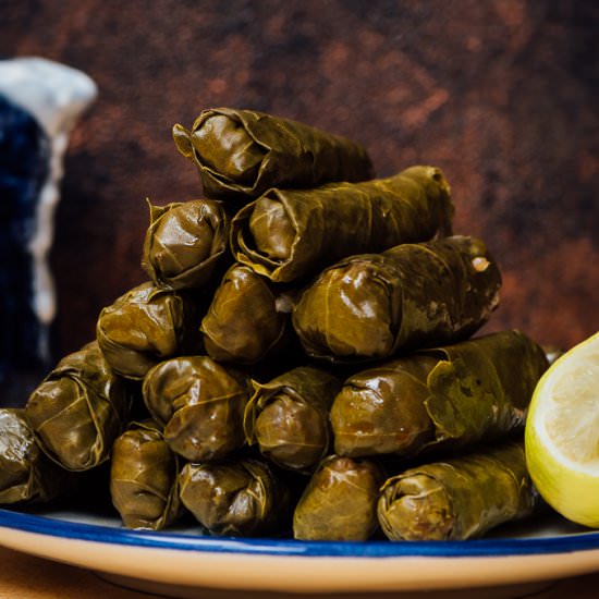 Meatless Stuffed Grape Leaves - Recipe photo by giverecipe