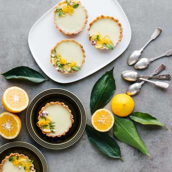 Vegan Lemon Tarts - Recipe photo by the barefoot housewife