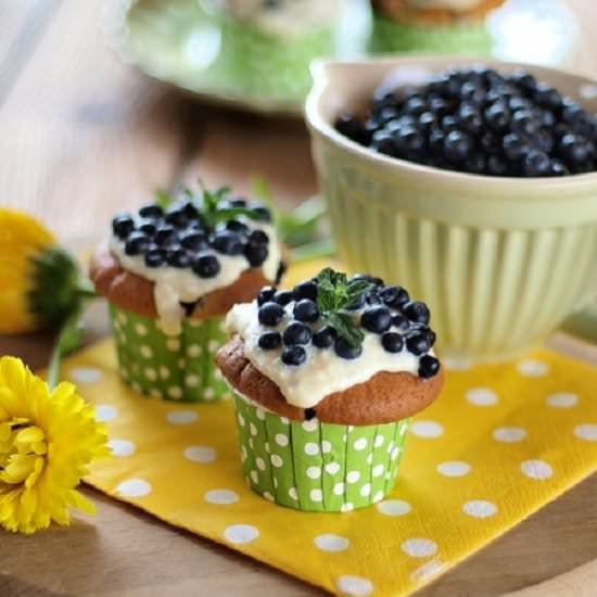 Cupcakes with Blueberries - Recipe photo by mania179