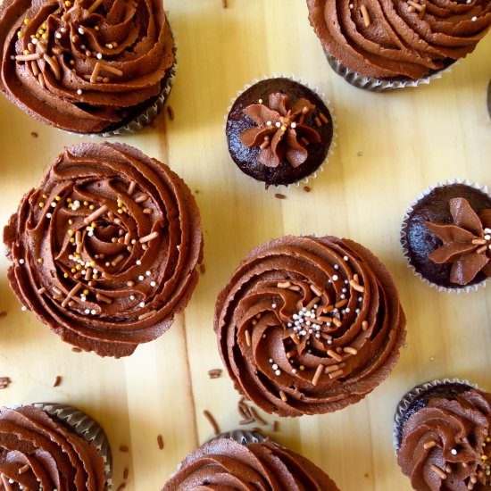 Easy Decadent Chocolate Cupcakes - Recipe photo by whatsarahbakes