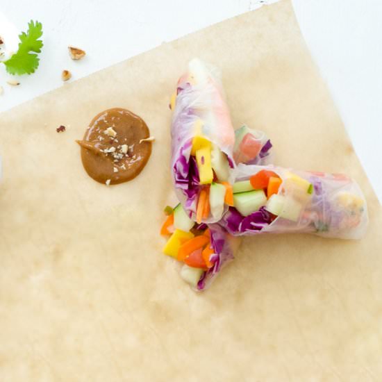 Mango Salsa Summer Rolls - Recipe photo by OhSoDelicioso
