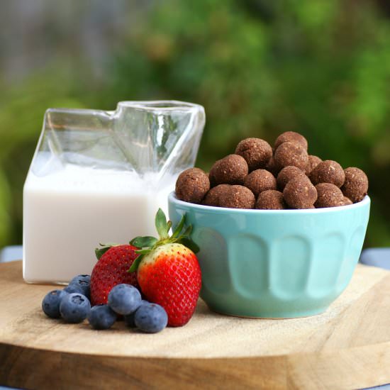 Homemade Paleo Cereal (Vegan) - Recipe photo by SouthernInLaw