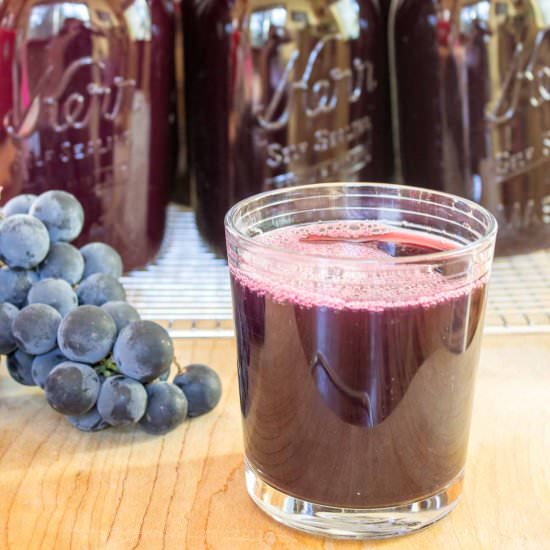 Homemade Grape Juice - Recipe photo by BeyondtheCoop