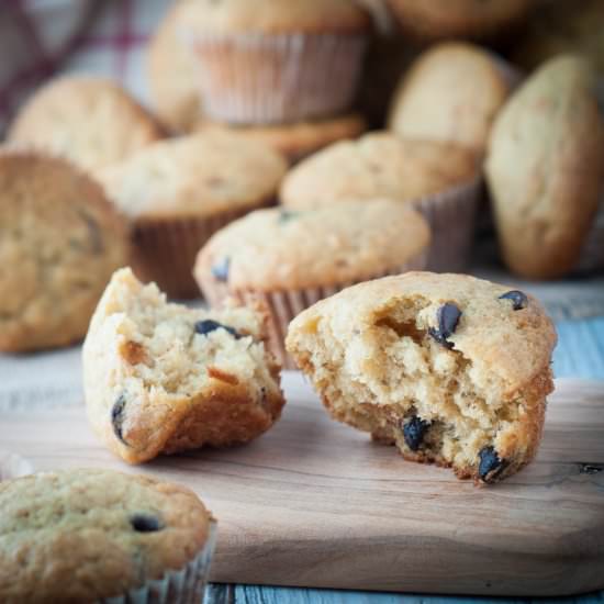 Banana Chocolate Chip Muffins - Recipe photo by photosandfood