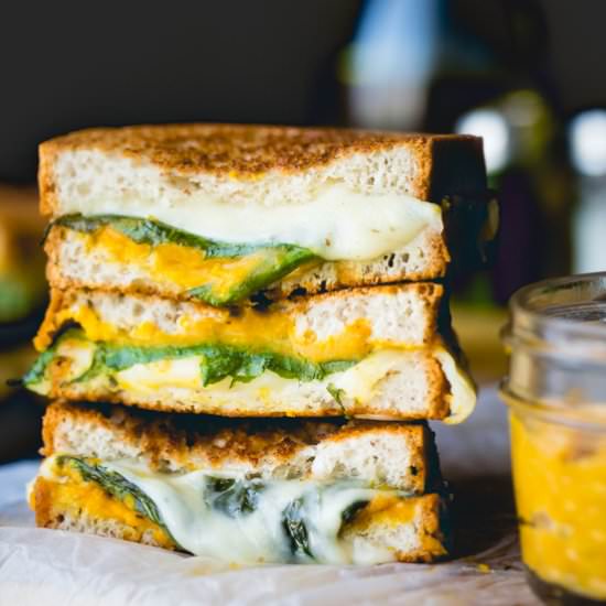 Pumpkin Hummus Grilled Cheese - Recipe photo by foodfaithfitness