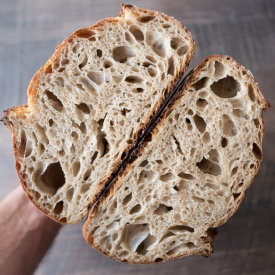 Multigrain Spelt Sourdough - Recipe photo by the perfect loaf