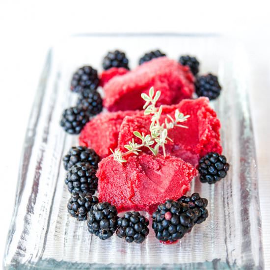Blackberry Sorbet - Recipe photo by Fuss Free Flavours