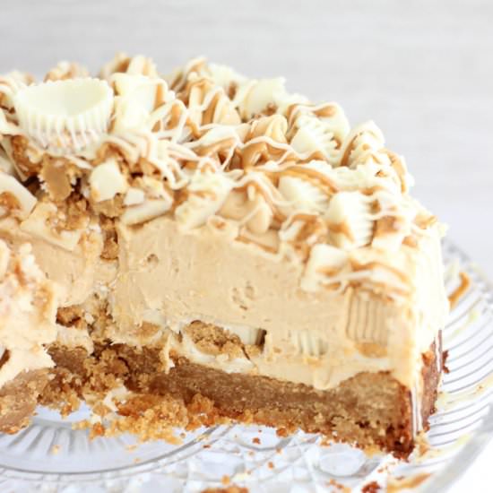 Peanut Butter Blondie Cheesecake - Recipe photo by thegoldlininggirl