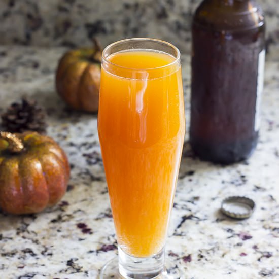 Pumpkin Beer Cocktail: Pumpkin Beer - Recipe photo by tastefullyeclectic
