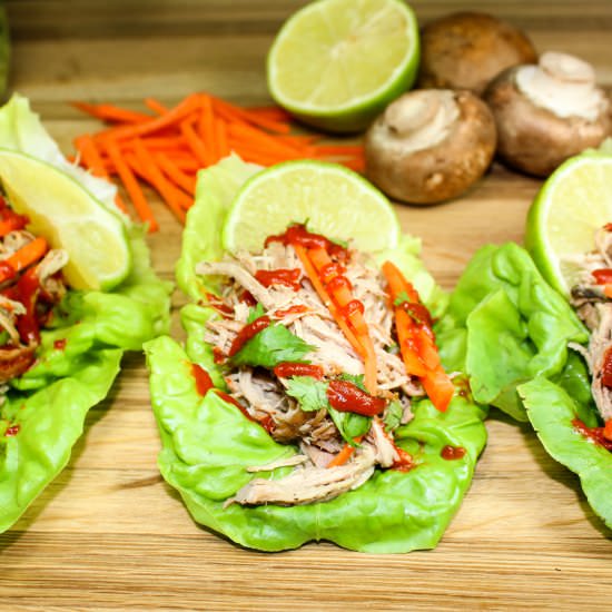 Slow Cooker Asian Pork Lettuce Wrap - Recipe photo by Bites of Flavor