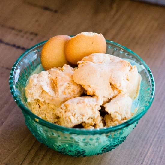 Five Ingredient Pumpkin Ice Cream - Recipe photo by Thehappyflammily