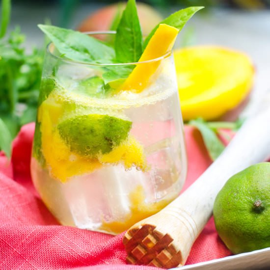 Basil Mango Mojito - Recipe photo by gogogogourmet