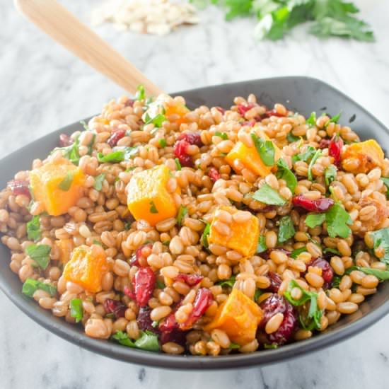 Autumn Butternut Squash and Wheat Berry Salad - Recipe photo by palouse_brand